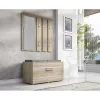 Topeshop GAR OPAL SONOMA armadio ingresso