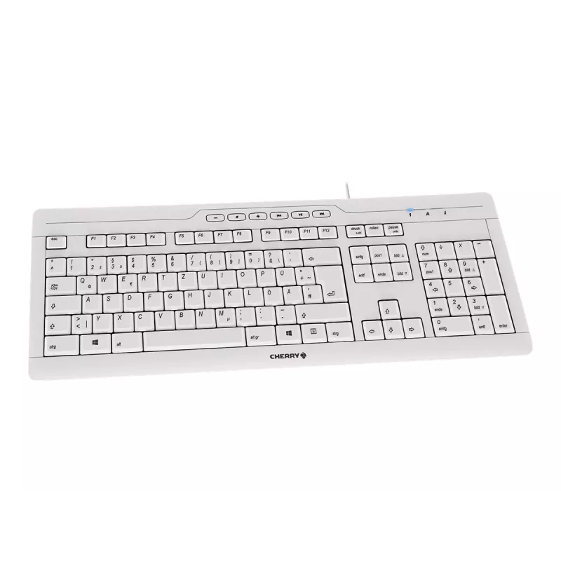 CHERRY STREAM 3.0 Tastiera ufficio USB Swiss Grey