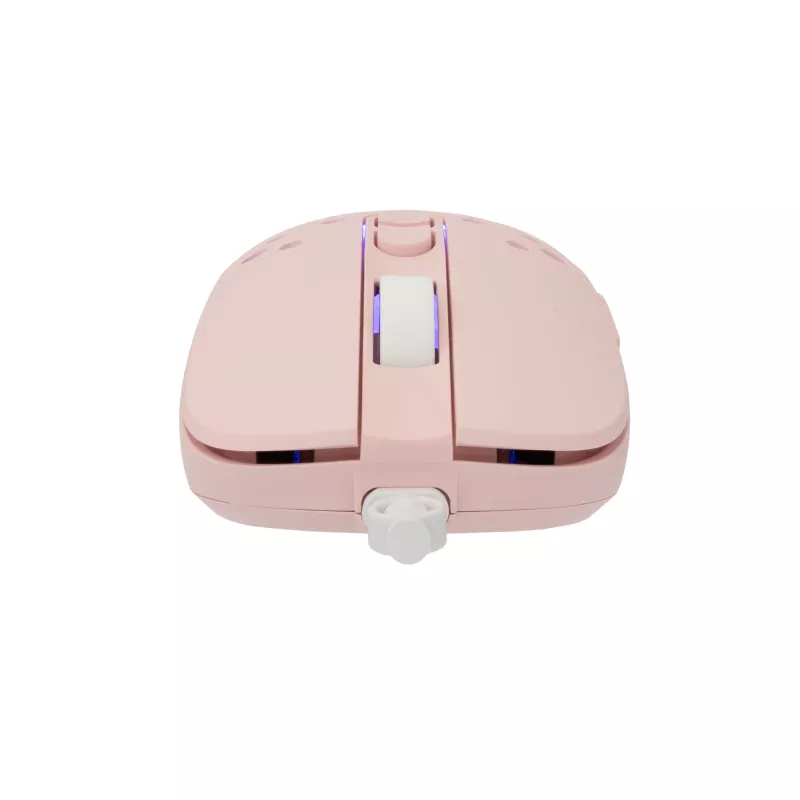 Mouse White Shark GM-9004 Tristan-2 rosa RGB USB