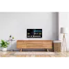 TV Smart Display LED 24