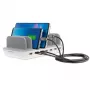 Caricabatterie mobile 4smarts 462310 USB Type-C grigio smartphone tablet