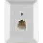 ShiverPeaks 74220 scatola di derivazione UAE 1x8, montaggio a parete