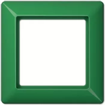 Jung AS 581 BF GN verde (AS581BFGN)