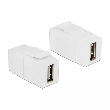 Modulo Keystone DeLOCK 86353