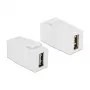 Modulo Keystone DeLOCK 86353