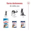 ROYAL CANIN SHN Maxi Ageing Loaf scatoletta 410 g