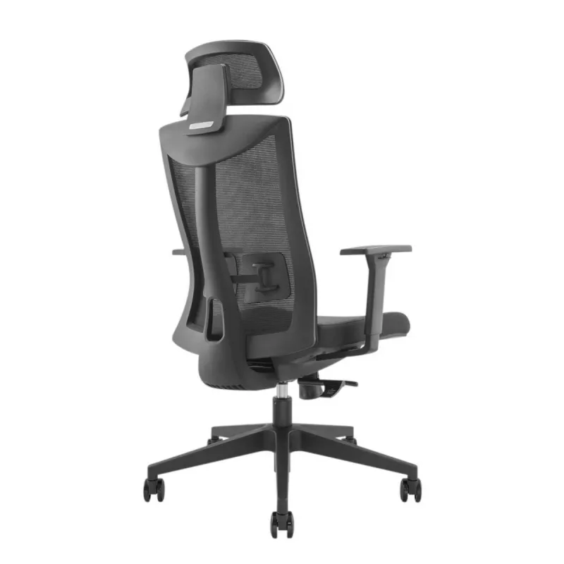 Sedia ergonomica premium Ergo Officer ER-414