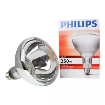 Lampada a incandescenza Philips 60800122044 250 W