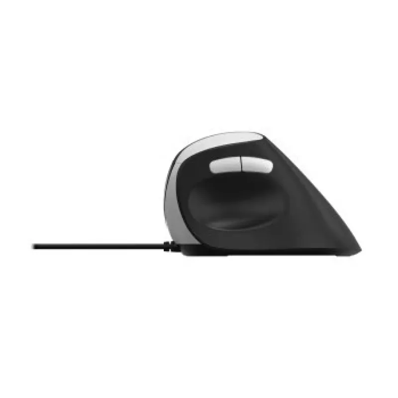 Mouse Rapoo EV200 Office USB Type-A