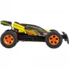 Auto RC High Speed con rampa