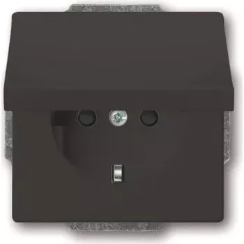 Busch-Jaeger inserto presa SCHUKO antracite 20 EUKB-81 (2CKA002018A1517)