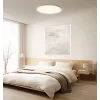 Lampada da soffitto intelligente Xiaomi D30 WiFi 30W