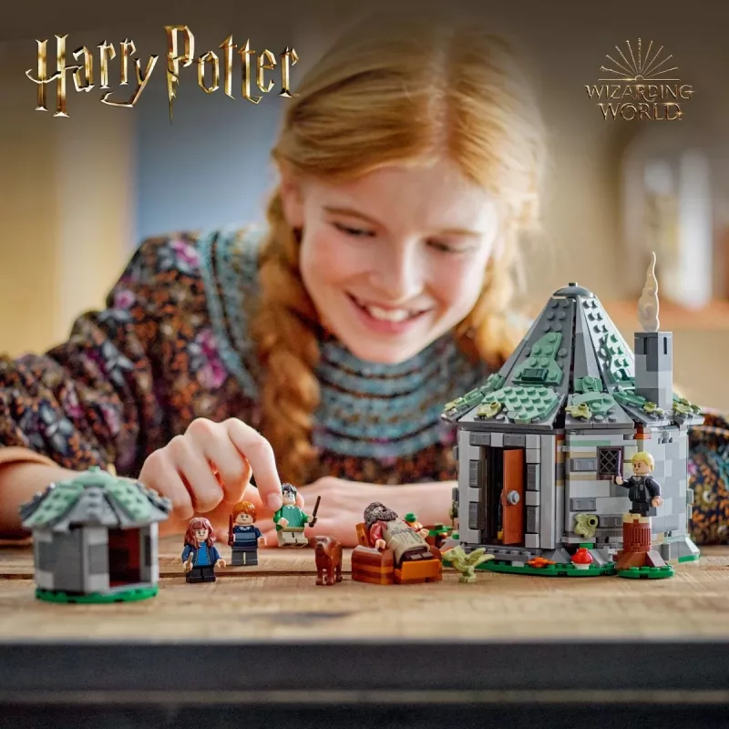 LEGO HARRY POTTER 76428 La capanna di Hagrid – Una visita inaspettata