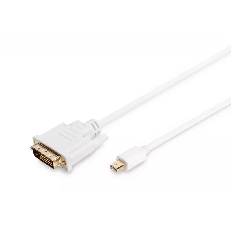 Cavo DisplayPort 1.1a Mini DP-DVI Type-A MM 2,0 m