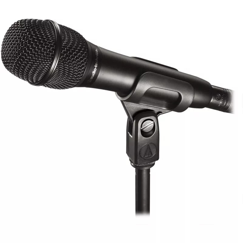 Audio-Technica microfono AT2010 - microfono