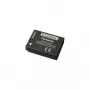 Panasonic DMW-BCG10E batteria per fotocamera Lumix