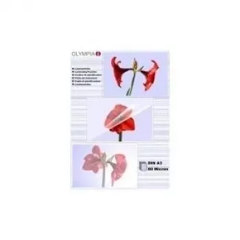 1x25 pellicole per laminazione Olympia DIN A3 80 micron 9180