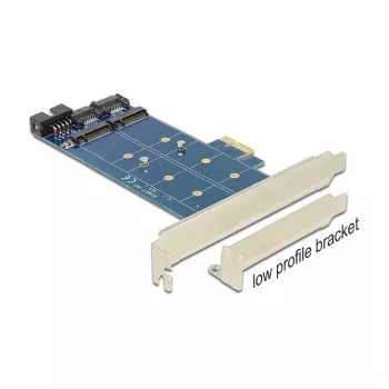 DeLOCK 89374 scheda PCI Express x1 a 2x M.2 NGFF interni