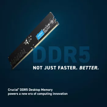 Crucial Pro - DDR5 - modulo - 16 GB - DIMM 288-PIN Low Profile