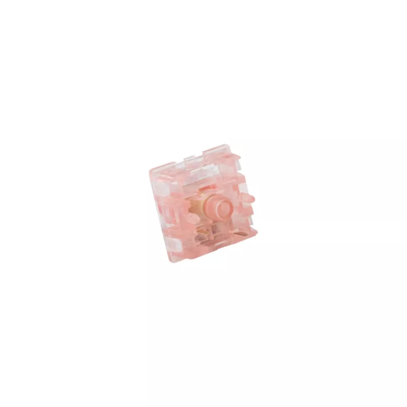 White Shark Venom Rose interruttori meccanici per tastiera, 65 pz.