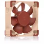 Noctua NF-A4x10 24V PWM ventola per case, 40 mm, 5000 giri/min, 19,6 dB, beige/marrone