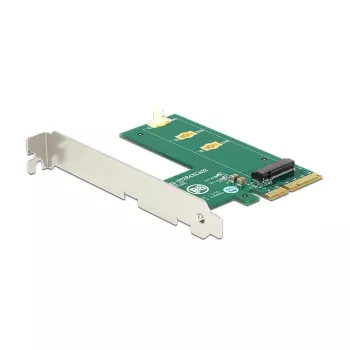 Scheda di interfaccia DeLOCK 89561
