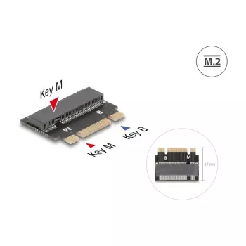 DeLOCK 64342 adattatore interno M.2 interfaccia host M.2 maschio nero