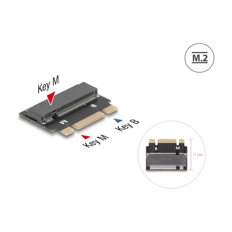DeLOCK 64342 adattatore interno M.2 interfaccia host M.2 maschio nero