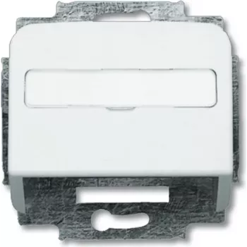 Busch Jaeger 1724-0-1663 placca a parete/cover interruttore argento - bianco (1724-0-1663)