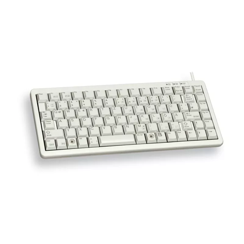 CHERRY G84-4100 tastiera universale USB QWERTY US-inglese grigio