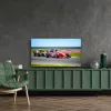 Thomson 50QG7C14 TV 127 cm (50 inch) 4K Ultra HD Smart TV Wi-Fi nero