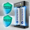Caricabatterie everActive LC200 domestico USB, 2 vani, Li-Ion, supporta A/AA/AAA/AAAA/C/D, ingresso 5 V, uscita 4,2 V, nero