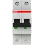 Interruttore automatico 6kA 6A C 2p S202-C6 (2CDS252001R0064)