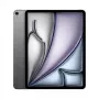 Apple iPad Air 13 M4 Wi-Fi + Cellular 1TB (grigio siderale) (MH9R4TY/A)