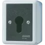 Jung 806.28 G Interruttore a chiave, bipolare a deviazione