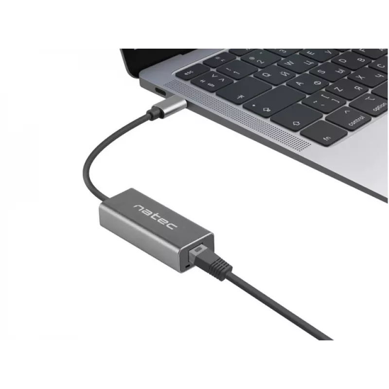 Natec Cricket NNC-1925 adattatore Ethernet da USB-C 3.1 Gen 1 a RJ45, 1000 Mbit/s, cavo da 15 cm, alluminio, grigio