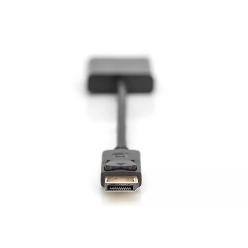 Digitus adattatore / convertitore DisplayPort