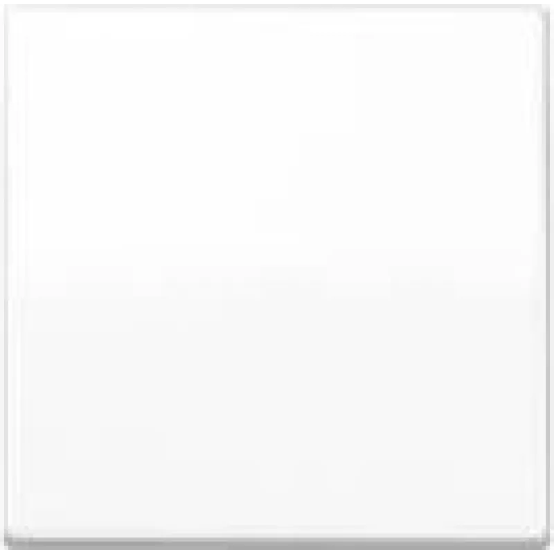 Placca a parete / copriinterruttore Jung AS101WW, senza viti in plastica, monoblocco