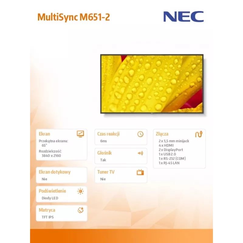 NEC MultiSync M651-2 design kiosk 165,1 cm (65