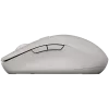 CANYON mouse MW-12 dualband wireless grigio
