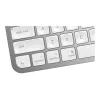 Tastiera MX Keys Mini Mac Pale 920-010526 grigio