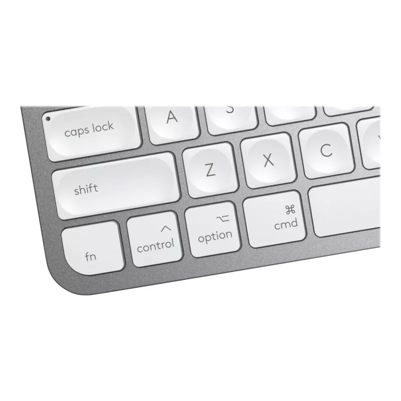 Tastiera MX Keys Mini Mac Pale 920-010526 grigio