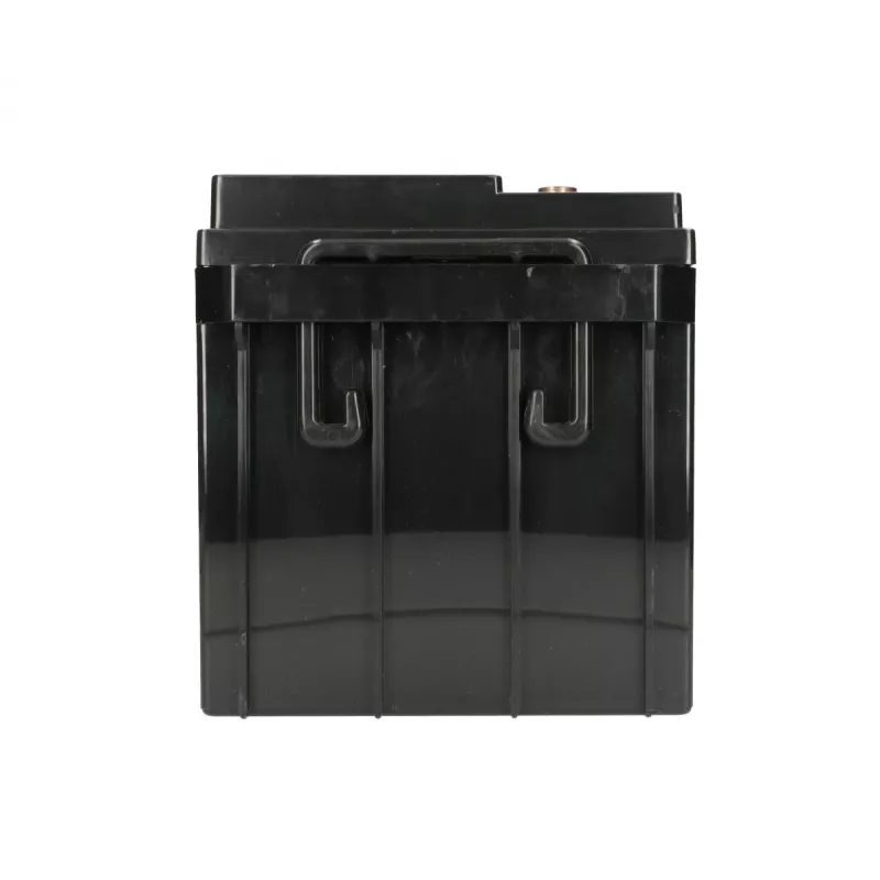 Batteria al piombo-acido sigillata Extralink Akkumulator AGM 12V 65Ah, VRLA, nero, 1 pezzo