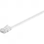 Wentronic Goobay cavo patch piatto CAT 6, U/UTP, bianco, 1,5 m – materiale in rame (95192)