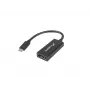 Adattatore per cavo video Lanberg AD-UC-DP-01