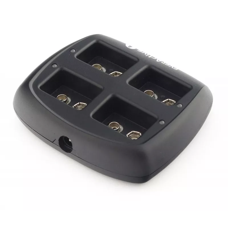 Caricabatterie Everactive NC109 AC