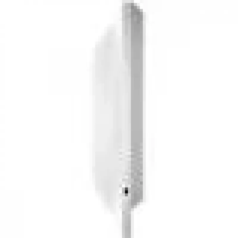 Grandstream Networks GWN7660 access point wireless 1770 Mbit/s bianco Power over Ethernet (PoE)