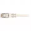 Cavo patch RJ45 maschio > RJ45 maschio CAT.6 SFTP (grigio, 1,5 metri)