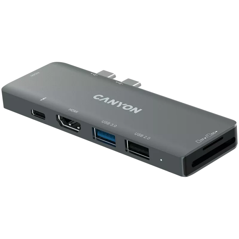Lettore di schede SD Canyon DS-5 USB 2.0 Type-C grigio 60 Hz