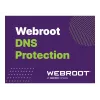 Webroot | DNS Protection with GSM Console | 1 anno | Quantità licenza 10-99 utenti